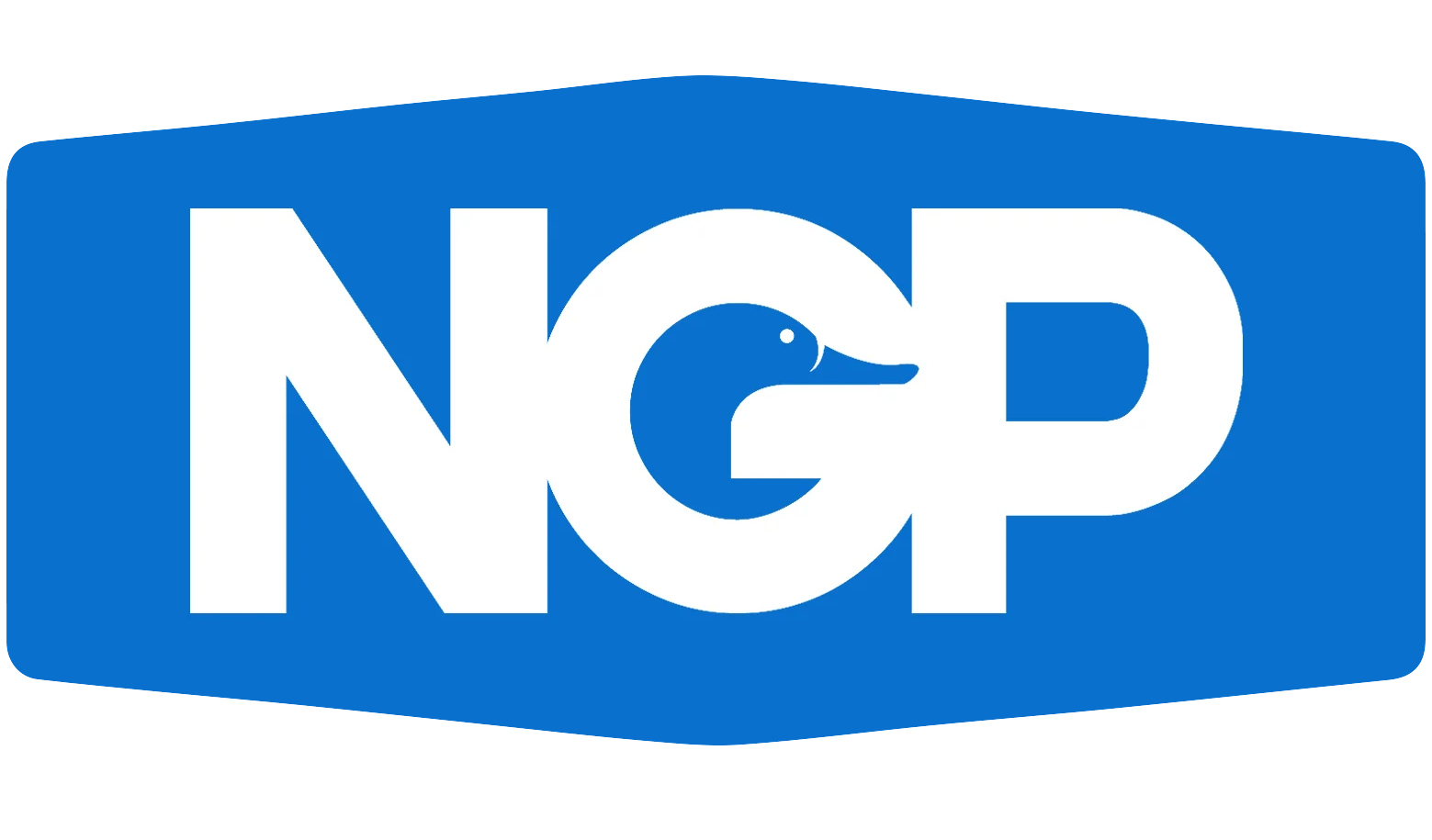 National Guard Products Logo